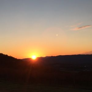 Meet your Posher, Dalton